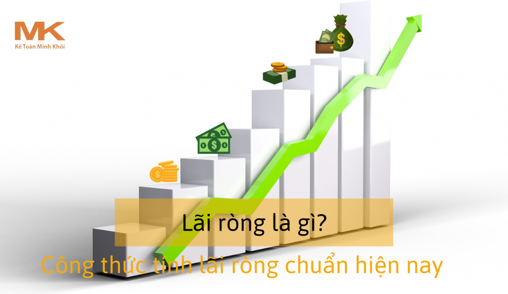 lãi ròng là gì